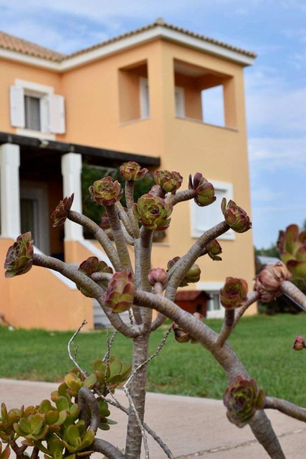 Boutique Hotel Ileas Village Аркуди Экстерьер фото